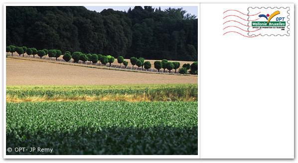 Preview of your postcard